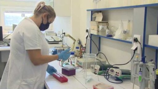 Práce s laboratorními zvířaty