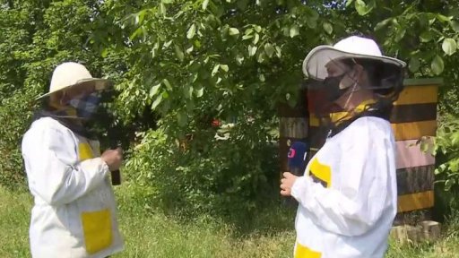 Mezinárodní den včelstva