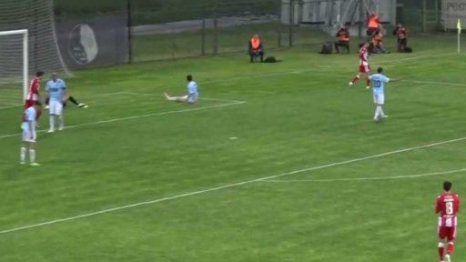 Zpravodajský servis