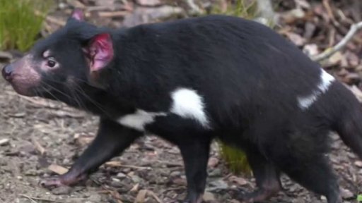 Zoo Praha otevírá novou expozici