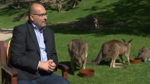 Australská expozice v pražské zoo