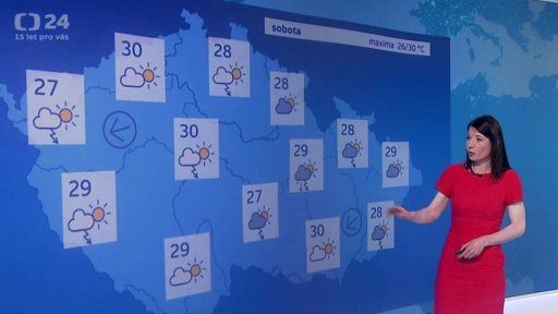 Zpravodajský servis