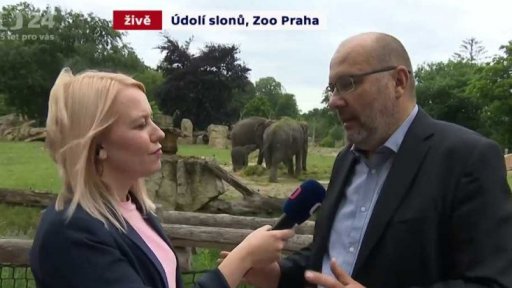 Křest pražských slůňat