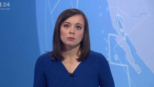 Zpravodajský servis