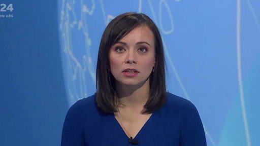 Zpravodajský servis