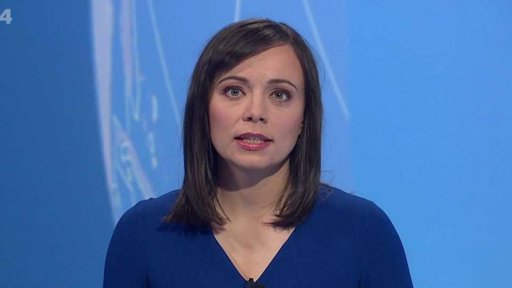 Zpravodajský servis