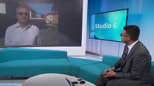 Alergie na hmyzí bodnutí