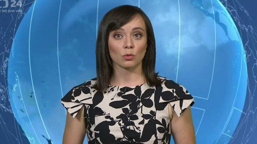 Zpravodajský servis