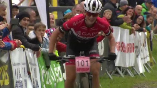 Zpravodajský servis