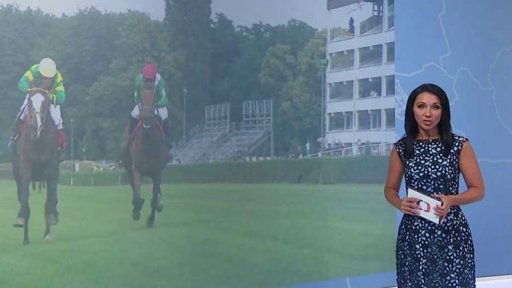 Zpravodajský servis