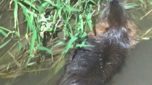 Týden očima iReportérů