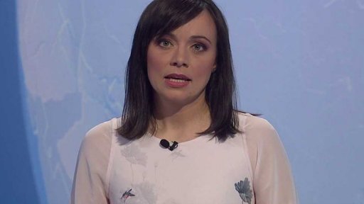 Zpravodajský servis