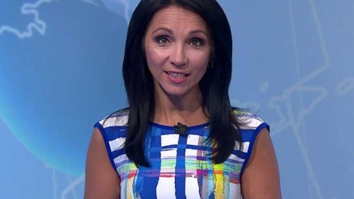 Zpravodajský servis