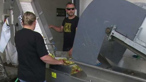 Sezona v pěstitelských pálenicích