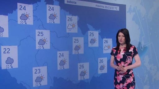 Zpravodajský servis