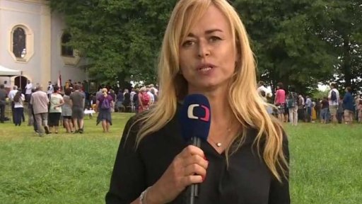 Zpravodajský servis