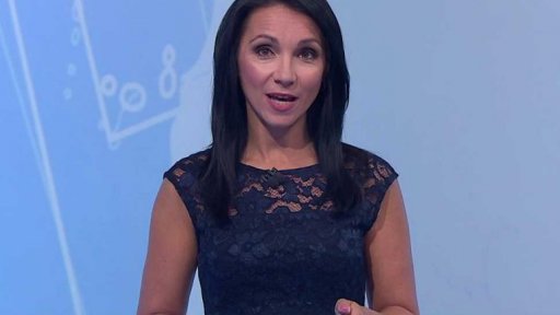 Zpravodajský servis