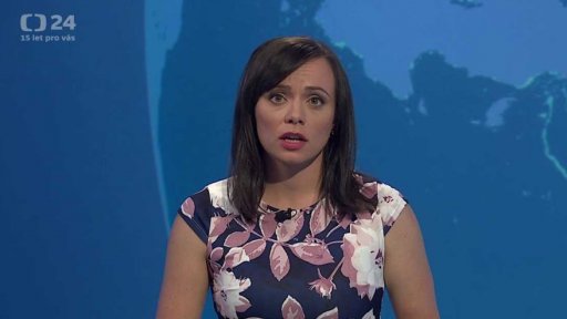 Zpravodajský servis