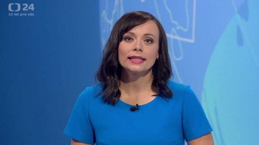 Zpravodajský servis