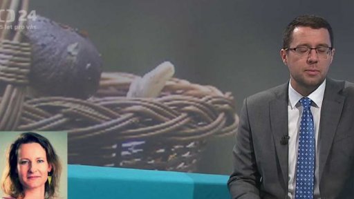 Kvalita sušených hub