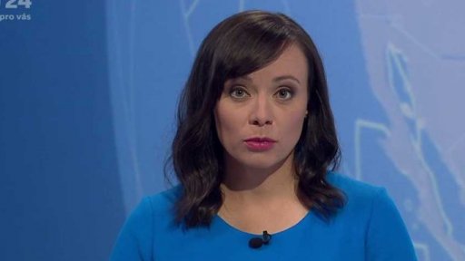 Zpravodajský servis