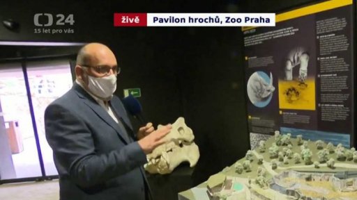 Zoo Praha: znovuotevření pavilonu hrochů