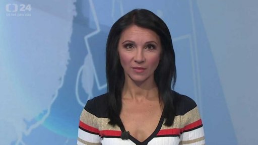 Zpravodajský servis