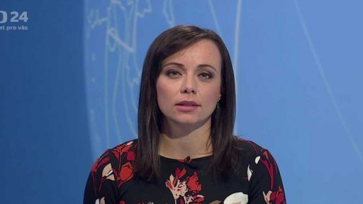 Zpravodajský servis