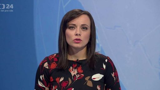 Zpravodajský servis