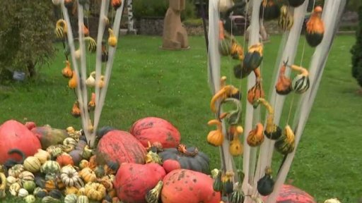 Dýňový podzim v botanické zahradě