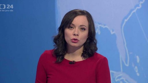 Zpravodajský servis