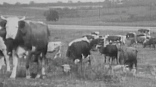 Vliv sucha na zemědělství ve 20. století