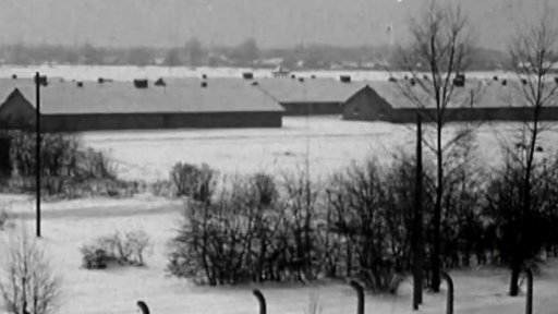 Dlouhý stín holocaustu