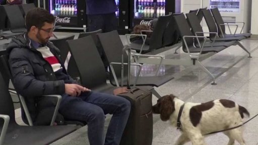 Trénink psů na odhalení výbušniny TATP