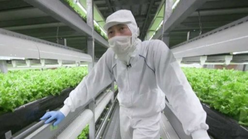 Potraviny pro stárnoucí Japonsko