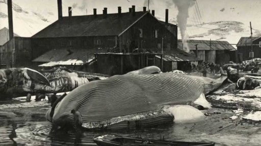 200 let od objevení Antarktidy