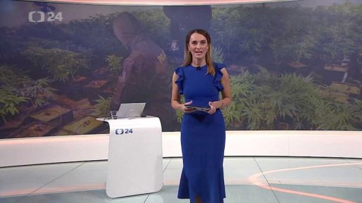 Stručný přehled témat