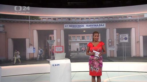 Stručný přehled témat