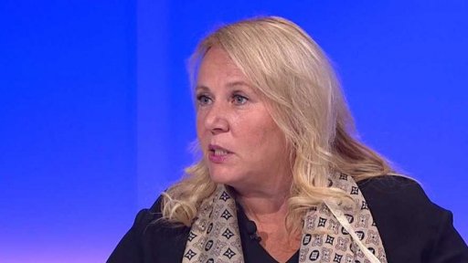 Dostavba dálnice D52