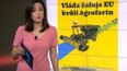 Mediální přestřelka: "Vláda žaluje EU kvůli Agrofertu"