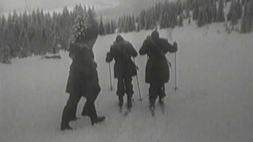 Pohraniční stráž (1950)