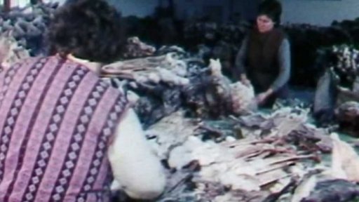 Králičí kožka (1981)