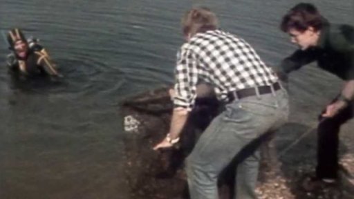 Čištění bratislavského jezera (1981)