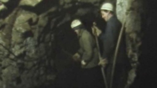 Akce Brontosaurus (1984)