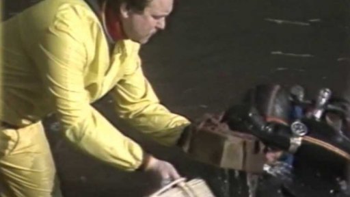 Hledání potopené pokladny (1990)