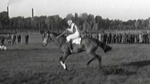 Velká pardubická (1950)