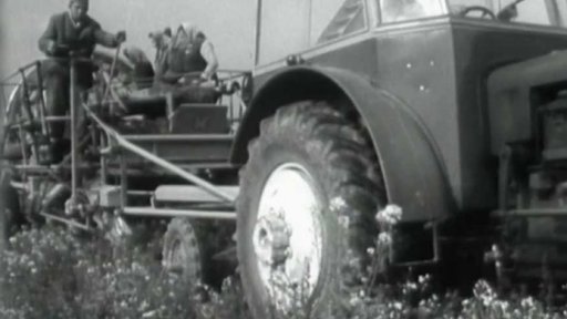 Sklízení brambor s pomocí kombajnu (1960)