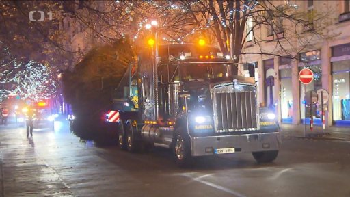 Vánoční strom už na místě