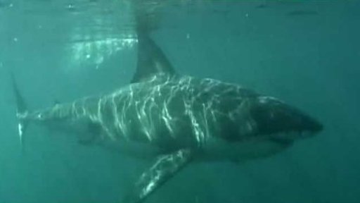 Hyde Park Civilizace: Richard Jaroněk