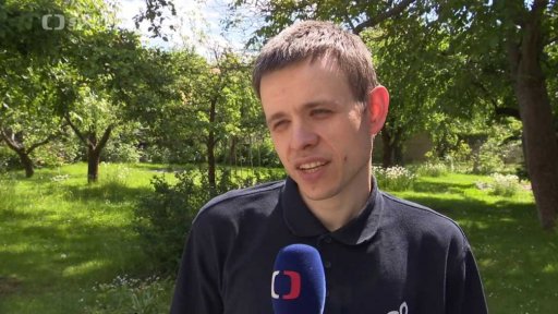 Mistrovství Evropy online